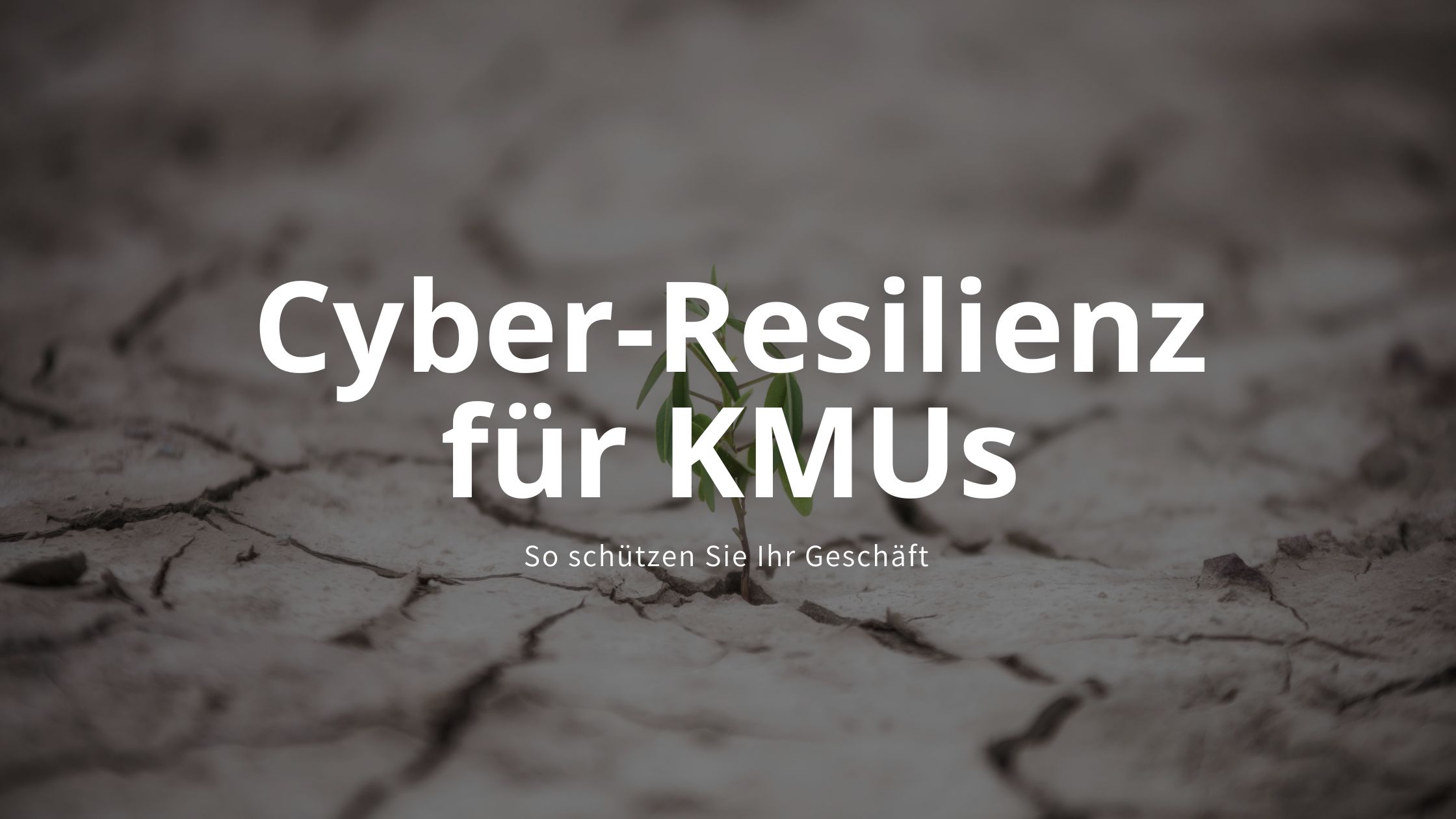 Cyber-Resilienz für KMUs